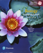 Samenvatting Biology: A Global Approach 11e editie (zie voor hoofdstukken de beschrijving) 