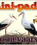 Antwoordblad minipad ooievaars