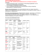 Samenvatting Beroepssituatie 9