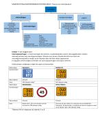Samenvatting/ aantekeningen: autotheorie (B)
