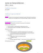Samenvatting Leren en leerproblemen 