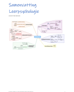 Samenvatting Leerpsychologie Pabo