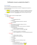 cellulaire neuro-anatomie deel 1