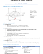 Anatomie van het centraal zenuwstelsel