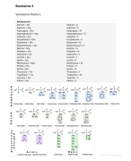 Moleculaire Genetica 1 Oefententamen met antwoorden 2016