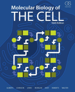Samenvattingen (bundel) Molecular Biology of The Cell 6e editie Hoofdstukken 4 t/m 7, 12, 13, 15, 17 t/m 20 en 22