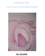 Samenvatting Histologie Kauworganen