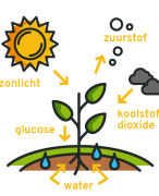 nectar biologie - samenvatting H2 (soorten en populaties) & H3 (ecosystemen) - VWO
