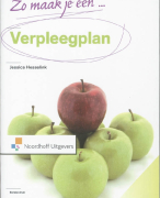 Samenvatting Zo maak je een verpleegplan!