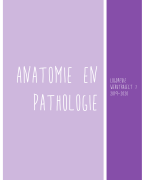 Anatomie en pathologie Samenvatting Thomas more Logopedie en audiologie 2019-2020