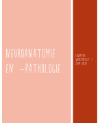 Neuroanatomie en -pathologie Samenvatting Thomas more Logopedie en audiologie 2019-2020
