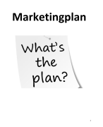 Het Marketingplan - Een onderzoek naar het verbeteren van de omzet 