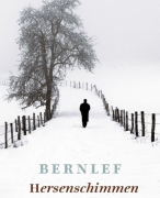 Boekverslag Hersenschimmen van J. Bernlef