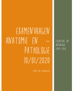 Anatomie en -pathologie examenvragen 2020 logopedie en audiologie thomas more 2019-2020