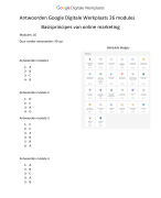 Antwoorden van de 26 modules van, basisprincipes van online marketing, Google digitale werkplaats.