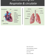 Samenvatting IBS-Respiratie & Circulatie 