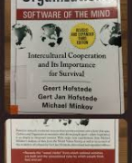 6 dimensions Hofstede, Culture management, IBS, year 1 