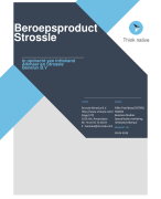 Beroepsproduct scriptie beoordeeld met een 8