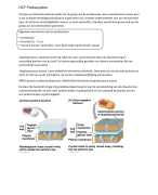 Biologie leerjaar 1 BML-R