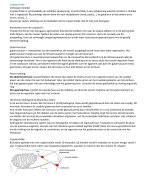 PBL Embryologie casussen