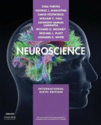 Samenvatting neurobiologie (B-B2NEUR10) deeltoets 2