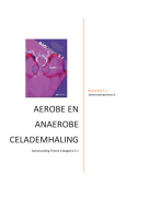 Samenvatting aerobe en anaerobe celademhaling