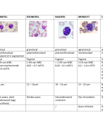 Schema bloedcellen hematologie