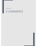 Samenvatting E-commerce - Vives Brugge - Global business management
