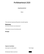 Profielwerkstuk ketonen 2020