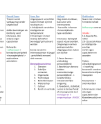 Overzichtelijk schema beroepskeuzetheorie