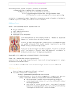 Anatomie & fysiologie: het urinewegstelsel