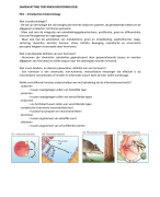 Endocrinologie Hoorcolleges (UvA)