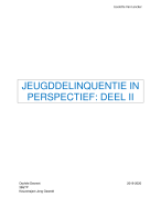 Jeugddelinquentie in perspectief - deel 2 (Liselotte Van Lancker)