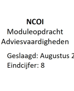 NCOI Moduleopdracht Personeelsplanning en Organisatie Strategische Personeelsplanning
