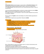 Havo 5 Nectar H12 gezondheid