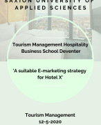 Thesis e-marketig strategy design & implementation European hotel for better occupancy