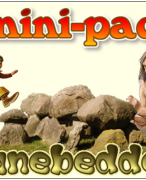 Antwoordblad minipad hunebedden