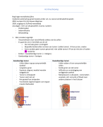 samenvatting oncologie 