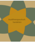 Huidtherapie Testvision samenvatting cursus 5 periode C kwaliteit in beeld 2020 / 2021