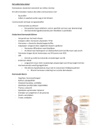 Fase 1 Semester 2 Anatomie en fysiologie - Het endocriene stelsel