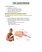 Fase 1 Semester 1 Anatomie en fysiologie - Het cardiovasculaire stelsel: de bloedvaten en bloedsomloop