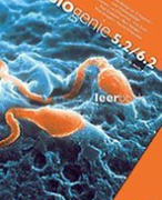 Biologie 6ASO: BIOgenie 5.2./6.2. Structuur van chromatine en chromosomen