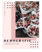 Demografische ontwikkelingen en maatschappelijke veranderingen 