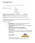 II-management uitgebreide samenvatting 