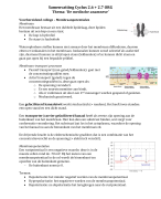 Samenvatting ORG Cyclus 2.6 + 2.7 (THK Ba2)
