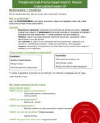 Samenvatting praktijk onderzoek sociaal werk 