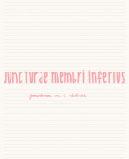 Functionele anatomie (arthrologie m.i. librii)
