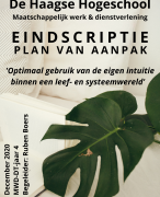 Geslaagd PVA MWD Haagse Hogeschool gebruik intuïtie binnen leef- en systeemwereld