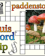 Antwoordblad kruiswoordclip paddenstoelen