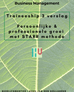 Verslag traineeship 3 derde jaar Hogeschool Utrecht Business Studies